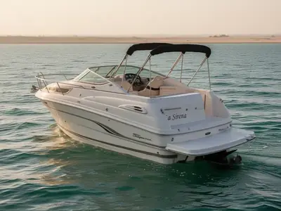 2001 Chaparral Signature 260