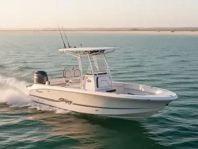 Stingray 236 Cc