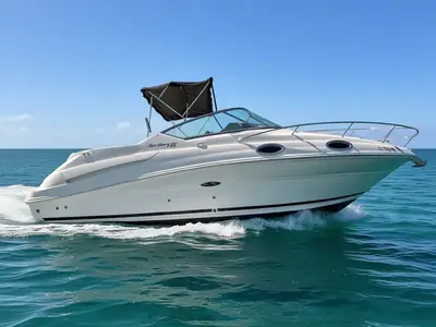 Sea Ray 240 Sundancer