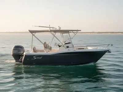 Scout 195 Sport Dorado