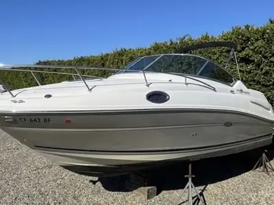 Sea Ray 240 Sundancer