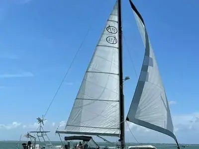 Antigua 53