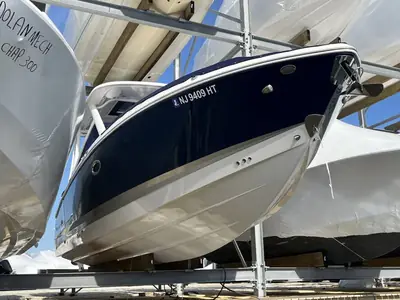 2024 Chaparral 310 OSX