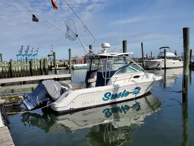 Robalo R265