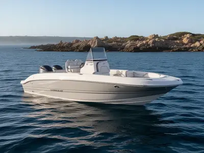 2026 Stingray 206 Cc
