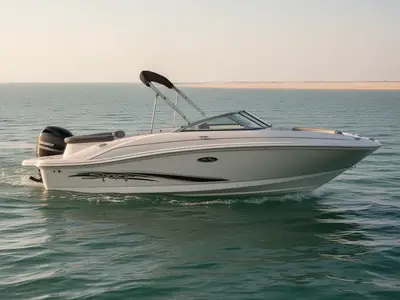 2011 Sea Ray 185 Sport