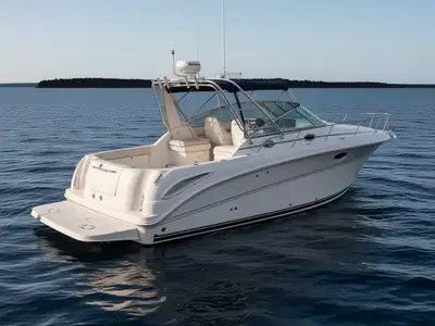 Sea Ray 290 Amberjack