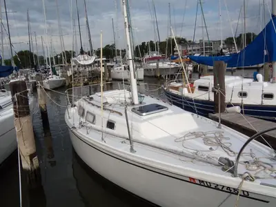 Cal 30