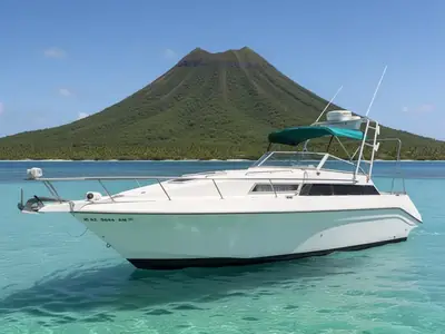 Cruisers HOLIDAY 2470