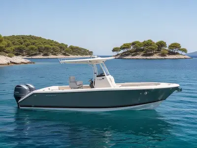 2016 Pursuit C 260 CENTER CONSOLE