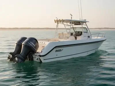 2002 Boston Whaler 290