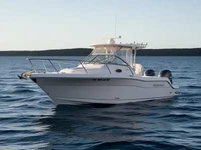 2013 Robalo R265