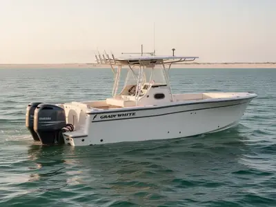 2002 Grady White 306 BIMINI