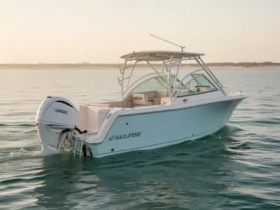 2025 Sailfish 245 DC