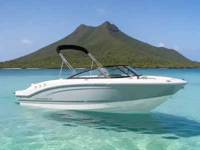 2025 Chaparral 21 SSI SKI & FISH