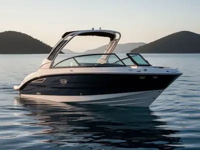 2025 Sea Ray SDX 250