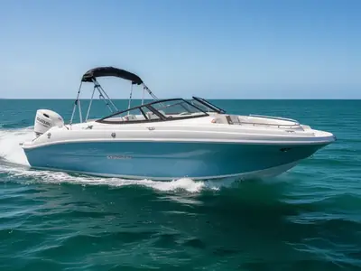 2026 Stingray 231 DC