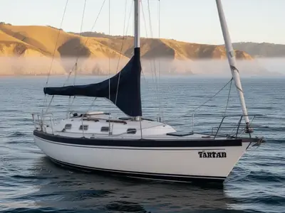 Tartan 3100