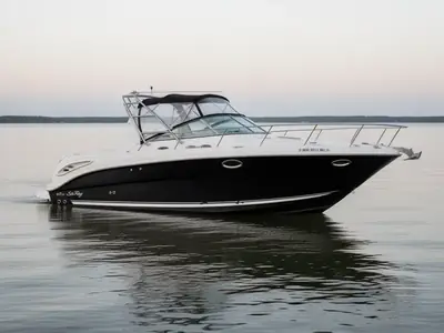 Sea Ray 290 Amberjack