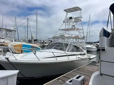 Blackfin COMBI 31