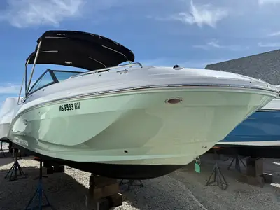 2024 Sea Ray SDX 250