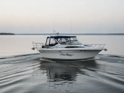1991 Sea Ray 220 SUNDANCER