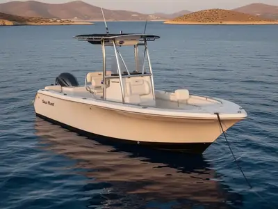 2017 Sea Hunt TRITON 225