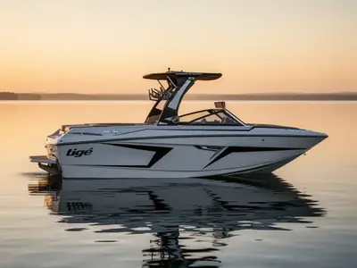 2023 Tige' 22 RZX