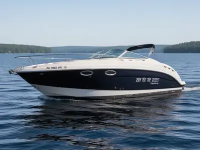 2007 Chaparral SIGNATURE 250