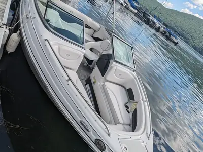 Crownline 21 SS