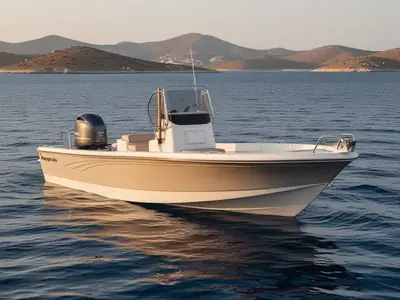 2017 Ranger 220 BAHIA