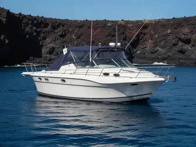 Cruisers 3120 ARIA