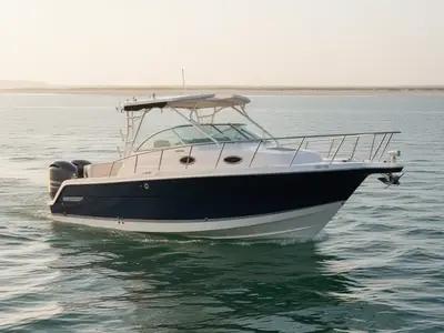2015 Wellcraft 290 Coastal
