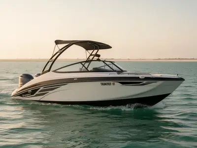 2018 Yamaha AR210