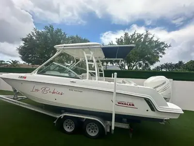 Boston Whaler 230