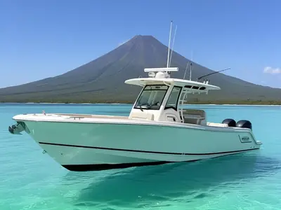 2019 Boston Whaler 330 Outrage