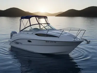 2010 Bayliner Corp 245