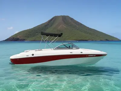 Reinell 207