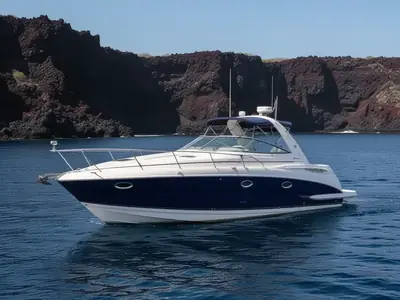2006 Rinker FIESTA VEE 300