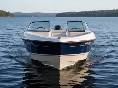 2008 Bayliner 195