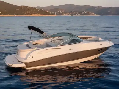 2004 Chaparral SUNESTA 236