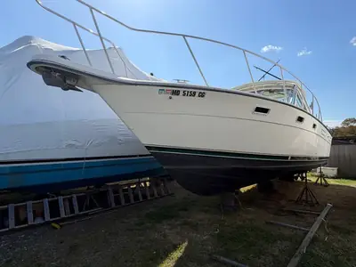 Pursuit 3100 EXPRESS
