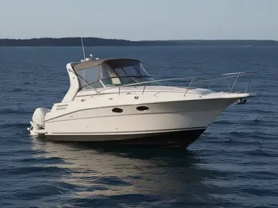 Cruisers 3175 ROGUE