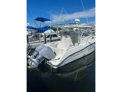 Seaswirl Striper 2901 Walkaround