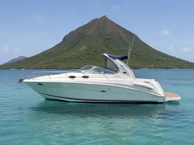 2002 Sea Ray Sundancer 300