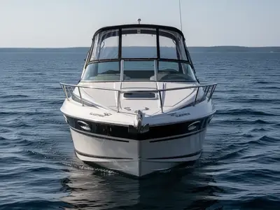Glastron GS-289
