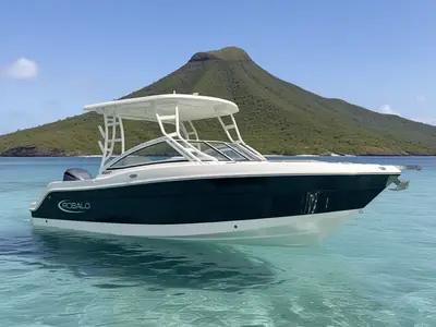 2019 Robalo R247 Dual Console