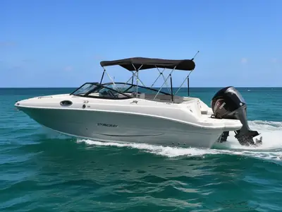 2026 Stingray 231 DC