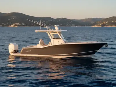 2019 Scout 320 LXF