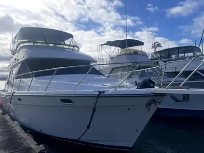 Bayliner 3988 Command Bridge Motoryacht